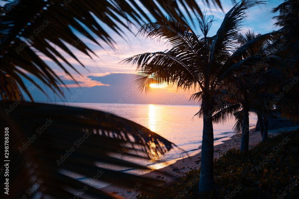 Wall mural bright colorful sunset on the shore of a tropical sea, silhouettes of palm trees against the sky, tr