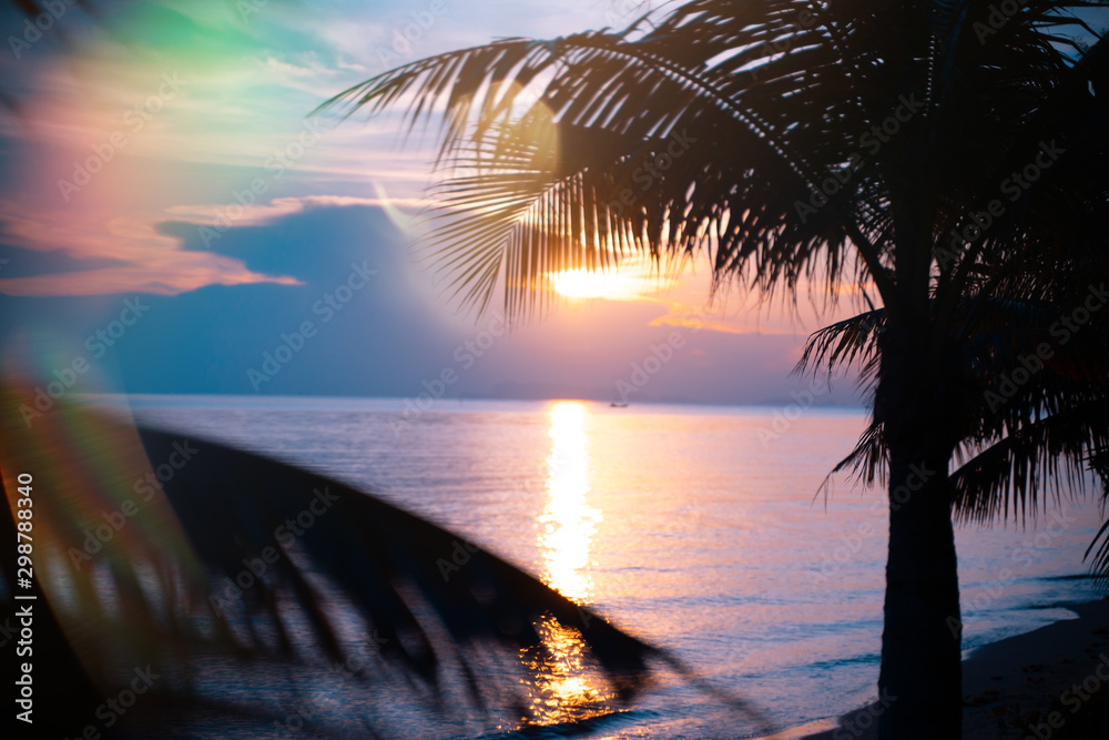 Wall mural bright colorful sunset on the shore of a tropical sea, silhouettes of palm trees against the sky, tr