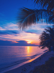 Bright colorful sunset on the shore of a tropical sea, silhouettes of palm trees against the sky,...