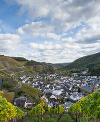 Indian summer on the red wine trail in the Ahr valley