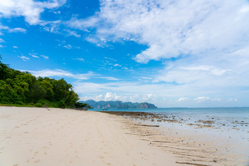 beautiful blue sky tropical coast beach paradise ocean summer sea at PP Island, Krabi,  Phuket, Thailand. guiding plan idea for backpacker go relaxing resting at long weekend see sunset and sunrise 