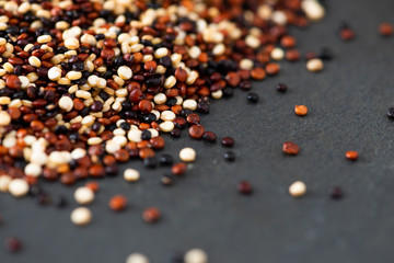 Set of quinoa Red, white and brown quinoa.