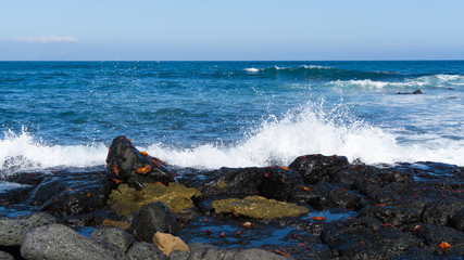 Fototapeta na wymiar waves rocks crabs sea on the galapagos islands