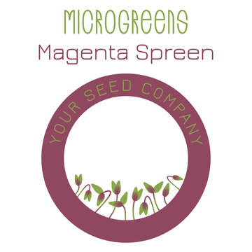 Microgreens Magenta Spreen. Seed packaging design, round element in the center