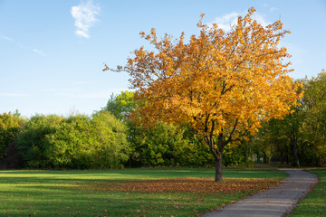 Weg durch einen herbstlichen Park