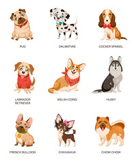 Cute dogs. Furry human friends home animals different breed pug, labrador and husky. Funny pets, happy puppies cartoon vector characters