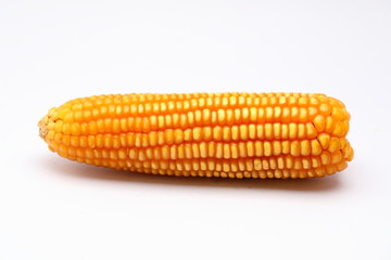 Animal feed ,Dried corn on white background 