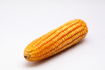Animal feed ,Dried corn on white background 