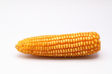 Animal feed ,Dried corn on white background 