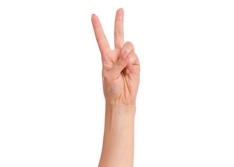 Female hand showing 2 fingers or Victory gesture, isolated on white background. Beautiful hand of woman with copy space. Hand doing gesture of number Two. Series of photos count from 1 to 5.