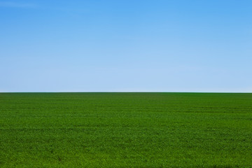 Green field Landscape