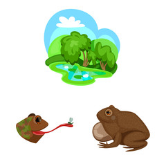 Vector illustration of frog and anuran symbol. Collection of frog and animal vector icon for stock.