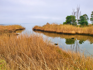 Wetland or bog of Psahna, also known as Kolovrehtis in Evia Greece. Cloudy sky and trees reflected on water surface.