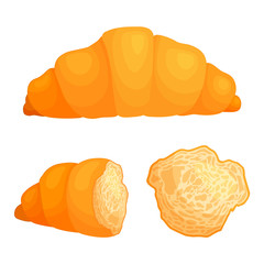Croissant in cartoon style isolated on white background. A set of whole and sliced french bun.