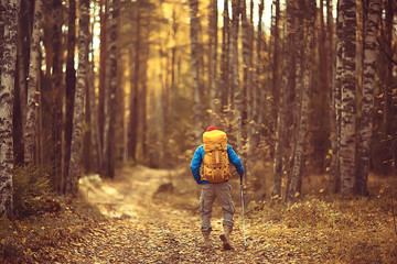 Fototapeta premium man with backpack a view from the back, hiking in the forest, autumn landscape, the back of tourist with a backpack
