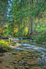Langzeitbelichtung Gewässer im Erzgebirge an der Bockau, Fluss mit Steinen, Wald, Lichtstimmung, Hochkant