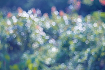 Abstract background from blurred nature with sunlight outdoor.