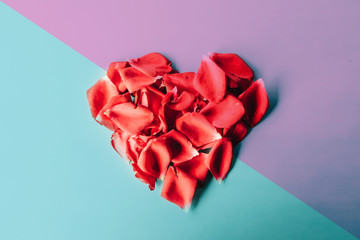 heart of rose petals on pink blue background