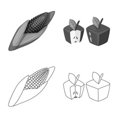 Isolated object of test and synthetic symbol. Collection of test and laboratory vector icon for stock.