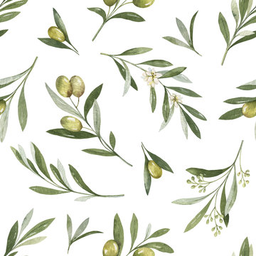 Watercolor vector seamless pattern of olive branches and leaves.