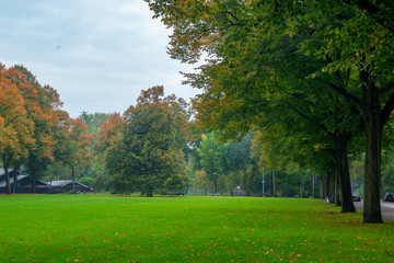 Fototapeta na wymiar Beautiful autumn scene in Rotterdam city park, Netherlands.