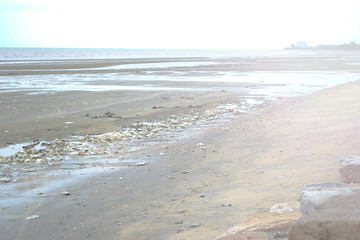 Fototapeta na wymiar trash in the beach