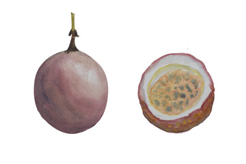 Passion fruits on white background, watercolor hand paint illustration