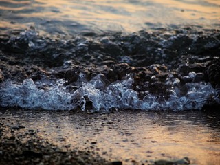 Obraz premium OLYMPUS DIGITAL CAMERA