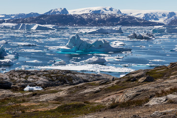 Die Wildnis von Grönland