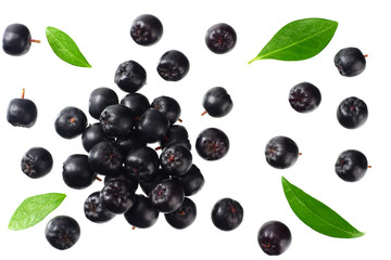 Chokeberry with green leaves isolated on white background. Black aronia. Top view.