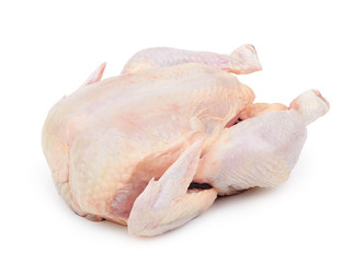 Raw fresh chicken