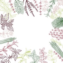 Fototapeta na wymiar Vector background with hand drawn spicy herbs. Sketch illustration.