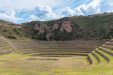 Fototapeta na wymiar The Incan terraces at Moray (Peru)
