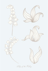 Lily of the valley, may-lily Element for design. In art nouveau style, vintage, old, retro style. In botanical style In vintage blue and beige colors..