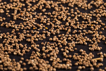 Grains of coriander, evenly scattered on a black background, yellow background from spices. Concept, copy space.