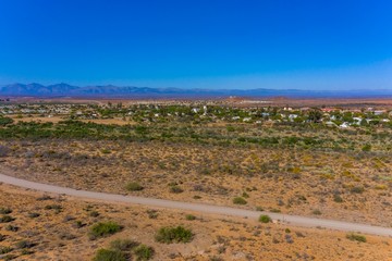 Hardy desert plants in the desolate and arid Karoo region of South Africa.