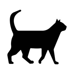 Black cat silhouette on a white background