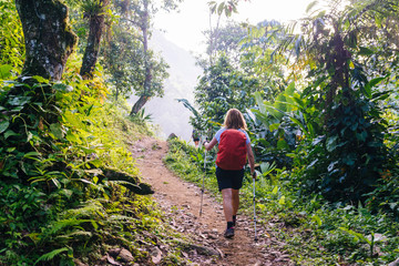 A woman with a daypack and walking sticks is hiking through the dense rainforest of the Sierra...