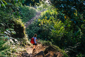 Obraz premium A woman with a daypack and walking sticks is hiking through the dense rainforest of the Sierra Nevada to the pre-Columbian city Ciudad Perdida