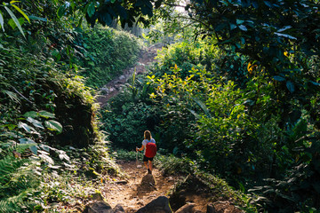 A woman with a daypack and walking sticks is hiking on a jungle tour through the dense rainforest...