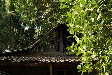 Rickety house in village surrounded by trees