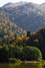 autumn in the mountains