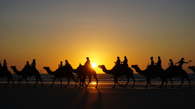 Broome Camel Ride