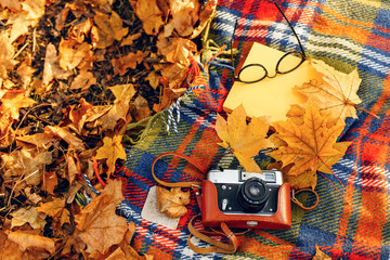 Checkered red and yellow plaid with fringe and autumn leaves, a book, glasses, and a camera