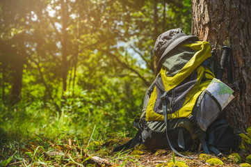 Backpackers lay in the deep, rich green forest. This picture is about a traveler studying nature.