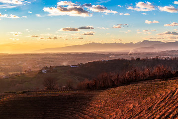 Colorful sunset in the italian vineyards