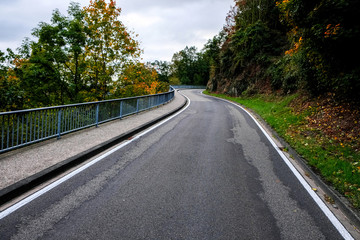 Fototapeta premium road in the forest