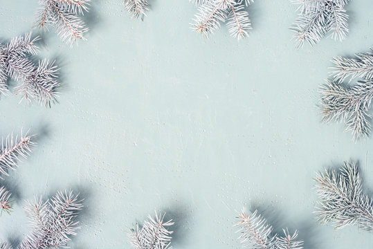 Pastel blue Christmas or New Year festive background with frosty fir branches