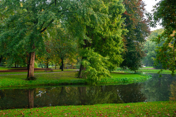 City park, trees reflection on the pond water, autumn. Rotterdam, Netherlands.