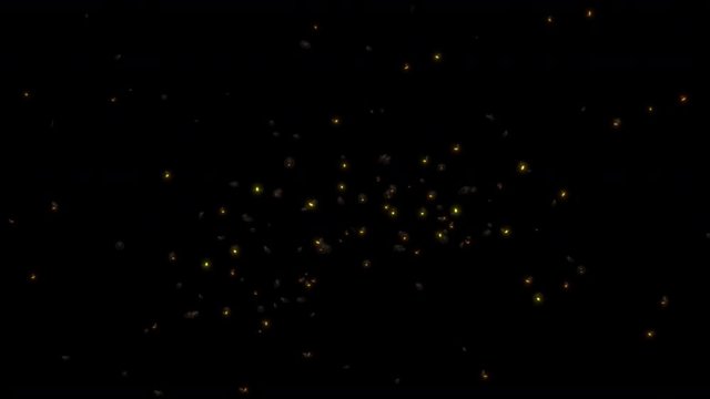 Swarm of FireFlies with alpha channel for easy compositing into your own scenes.	